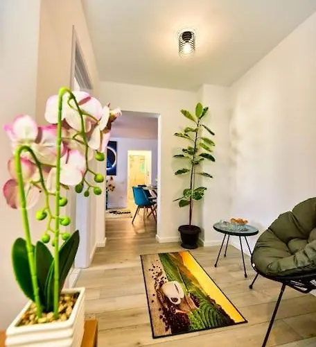 Apartment Bright Matei Voievod