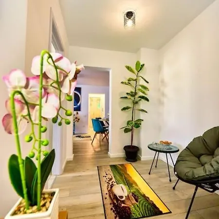 Apartment Bright Matei Voievod