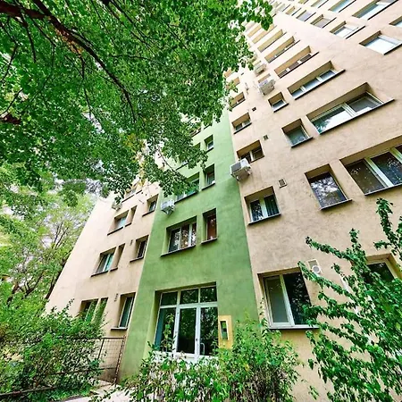 Bright Matei Voievod *